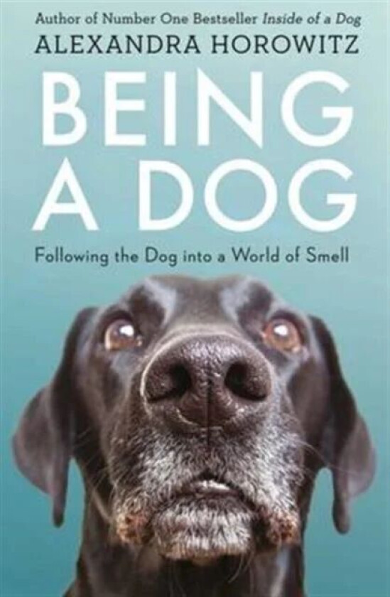 Being a Dog av Alexandra Horowitz