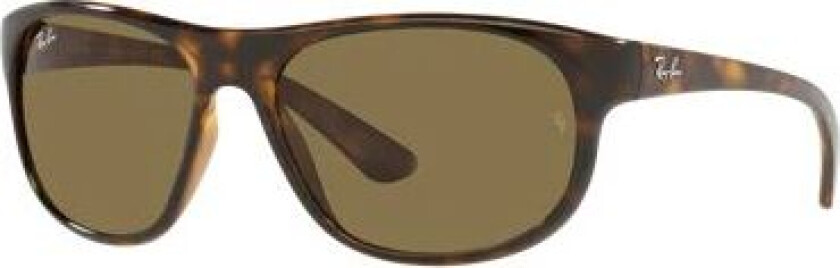 Rb4351 Havana Brown Brown unisex