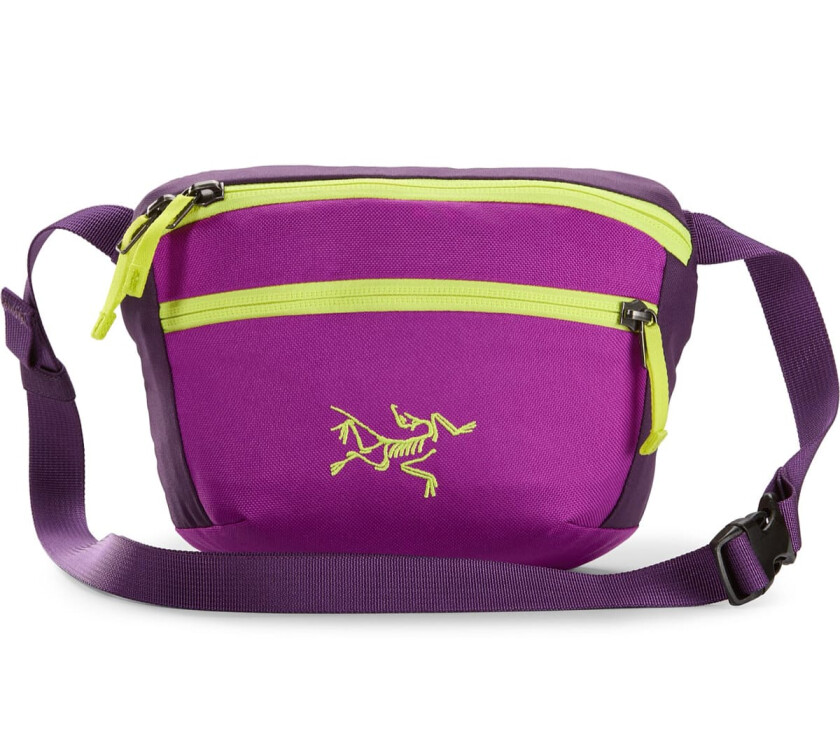 Mantis 1 Waist Pack Groovie/expanse OneSize