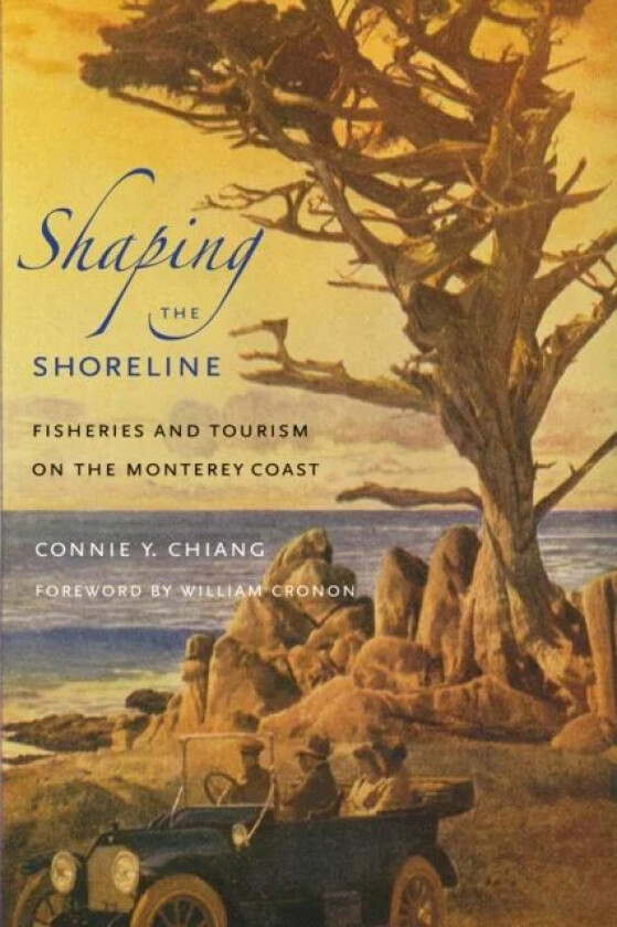 Shaping the Shoreline av Connie Y. Chiang