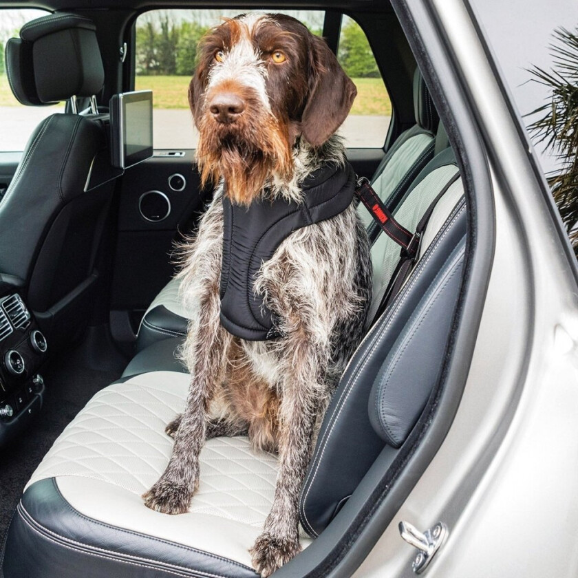 Bilde av Ultimate Bilbelte Hund