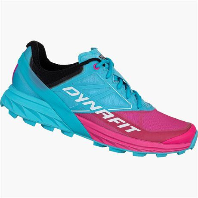 Dynafit Alpine, Dame Turquoise/Pink glo 41