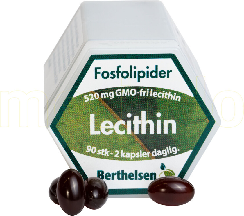 Lecithin - 90 Kapslar