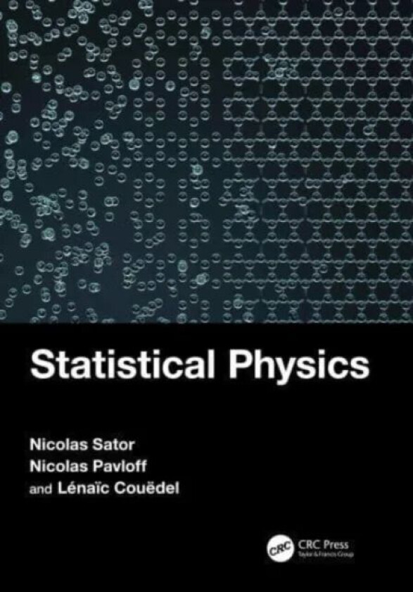 Statistical Physics av Nicolas Sator, Nicolas Pavloff, Lenaic Couedel