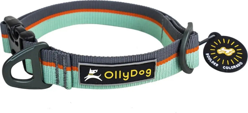 Flagstaff Collar L, Surf