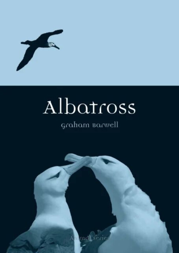 Albatross av Graham Barwell