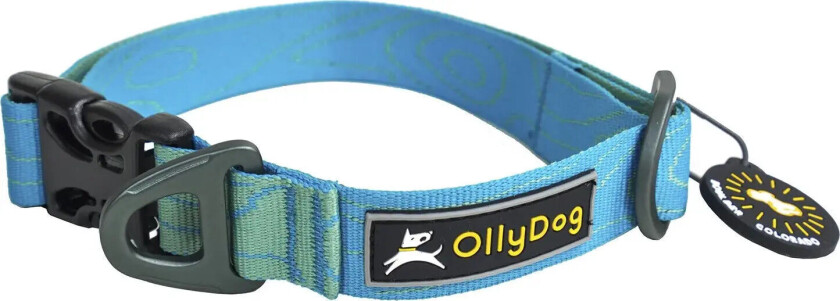 Flagstaff Collar S, Sky Bark