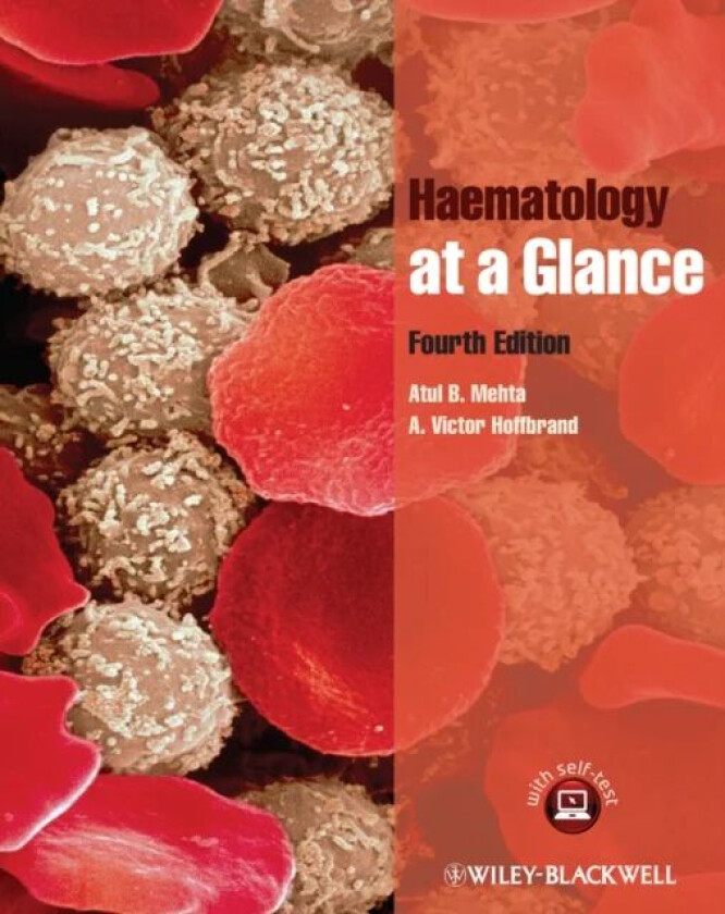 Haematology at a Glance av Atul B. (Royal Free and University College School of Medicine Royal Free Hospital London) Mehta, Victor (Royal Free and Uni
