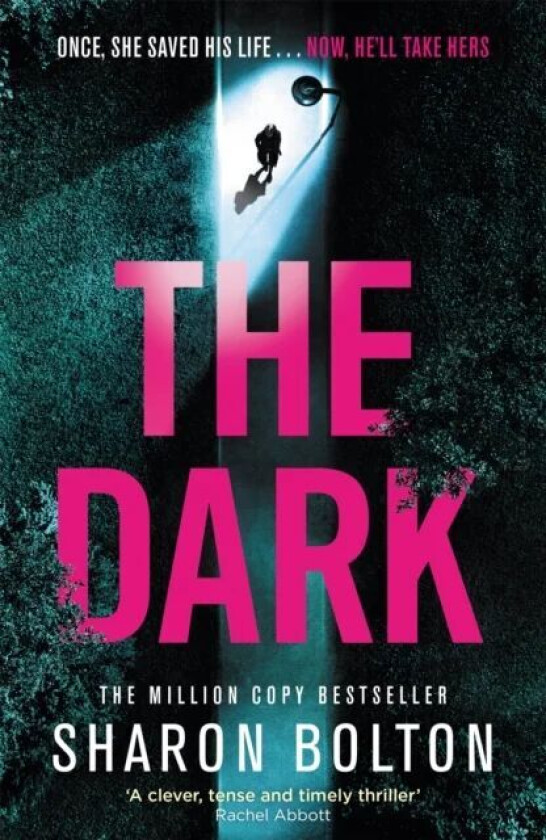 The Dark av Sharon Bolton
