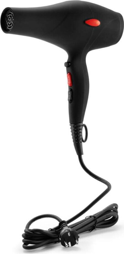 Cera Pro Dc Hair Dryer