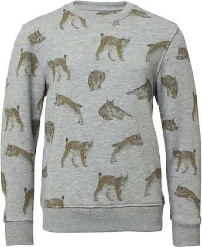 Bilde av Wildcat Sweatshirt Junior 140