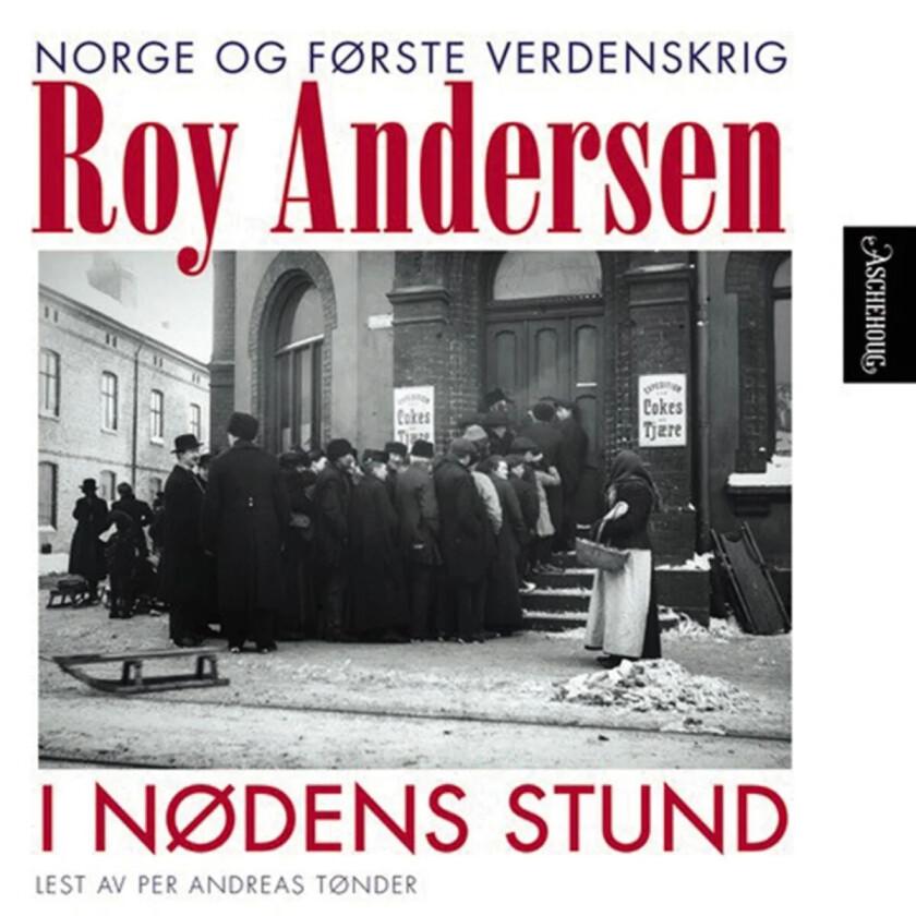 I nødens stund av Roy Andersen