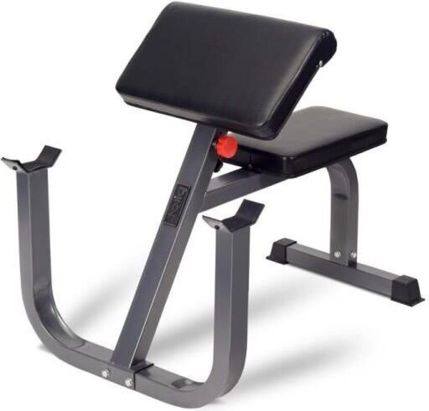 625 Preacher Curl Benk