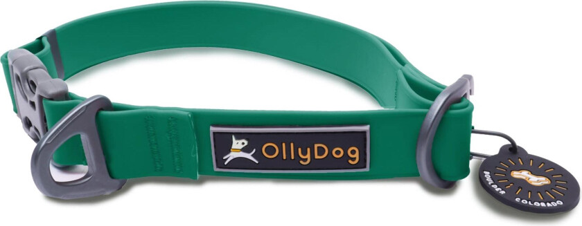Tilden Collar L, Teal