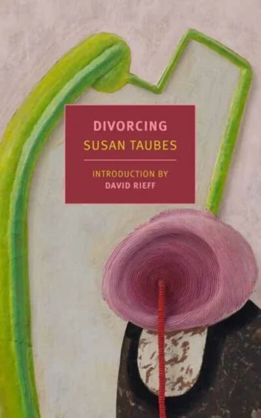 Divorcing av Susan Taubes, David Rieff