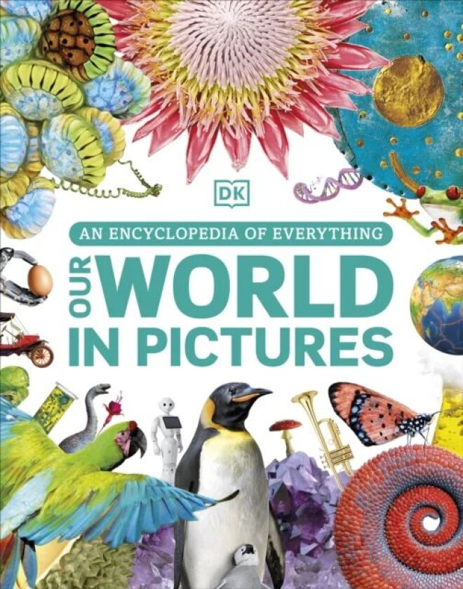 Our World in Pictures av DK