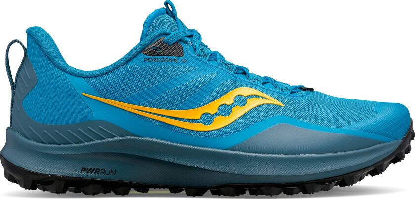 Men's Peregrine 12 44.5, Ocean/Black
