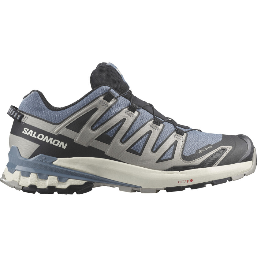 Men's XA Pro 3D V9 GORE-TEX 40, Flint Stone/Black/Ghost Gray