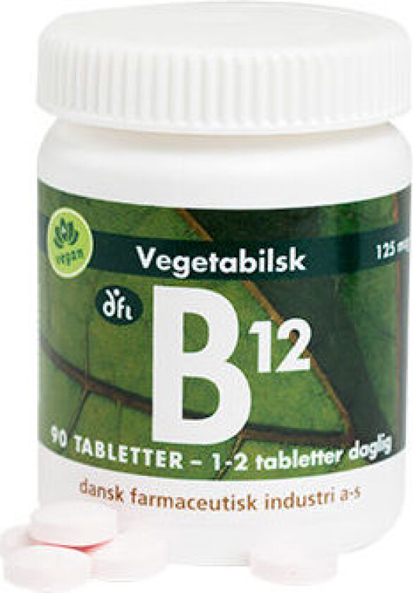 B12 Methylcobalamin - 90 Tabletter