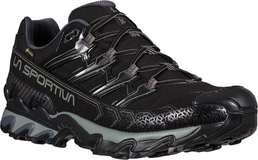 Ultra Raptor Ii Gtx Wide Black/clay Black/Clay male 43,5