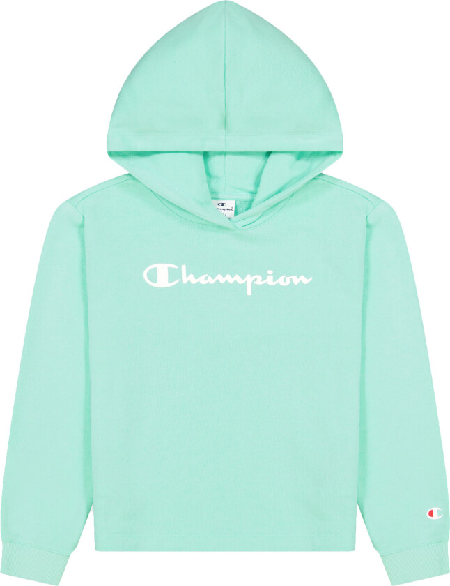 Hooded Sweatshirt Gs/Cabbage L