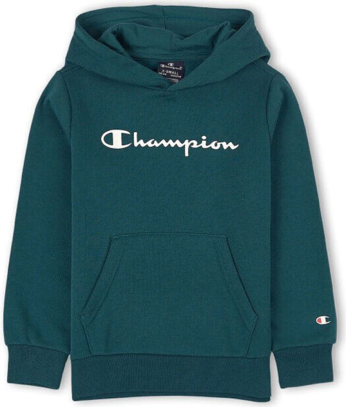 Hooded Sweatshirt Gs/Deep Teal S