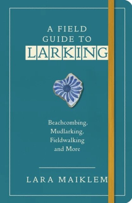 A Field Guide to Larking av Lara Maiklem