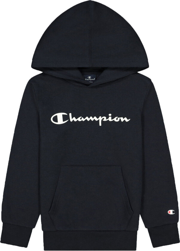 Hooded Sweatshirt Bs/Sky Captain 116