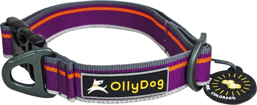 Urban Trail Reflective Collar M, Wild Aster