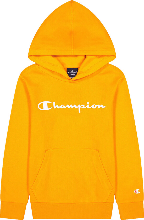 Hooded Sweatshirt Gutt Os/Oriole XXS