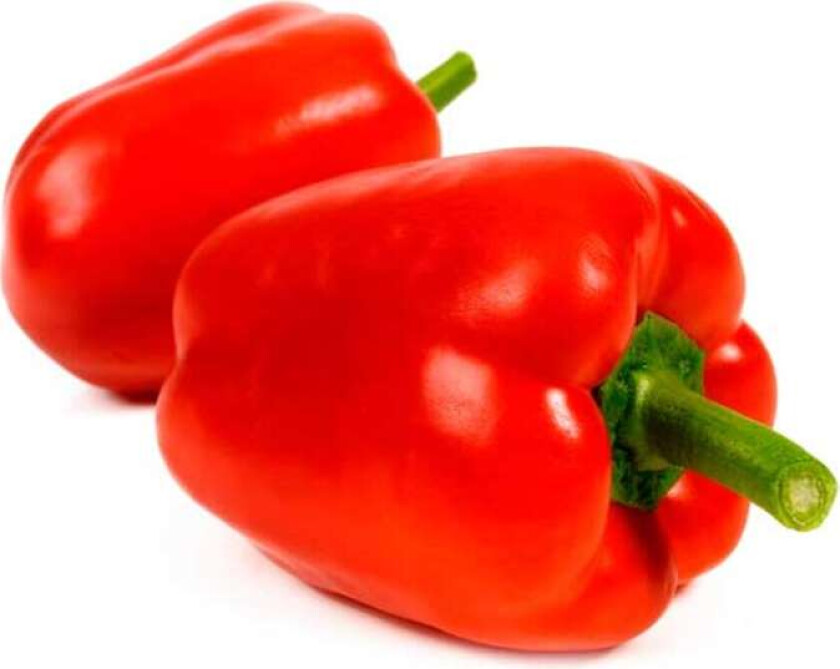 Paprika Rød