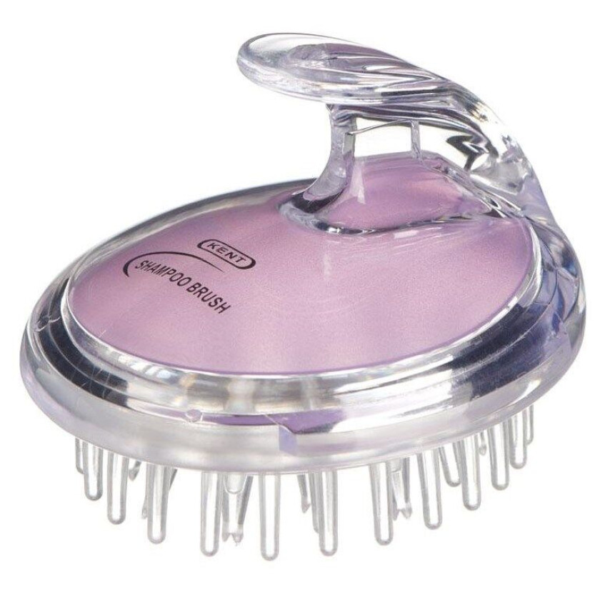Shampoo Brush Purple