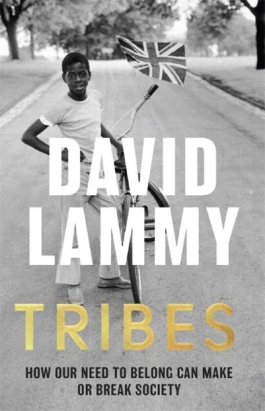 Tribes. A Search for Belonging in a Divided Societ av David Lammy