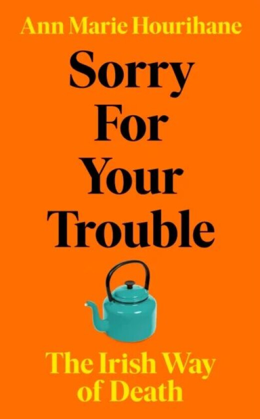 Sorry for Your Trouble av Ann Marie Hourihane
