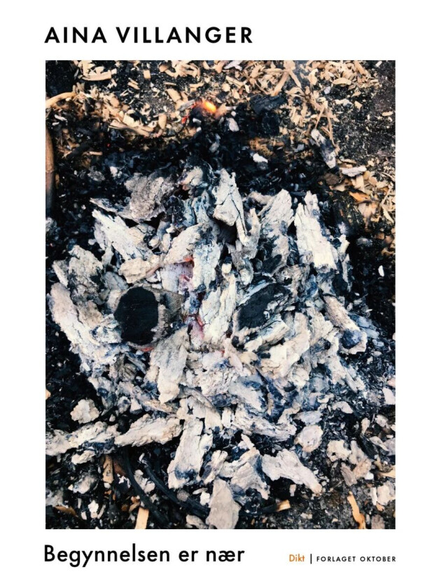 Begynnelsen er nær av Aina Villanger