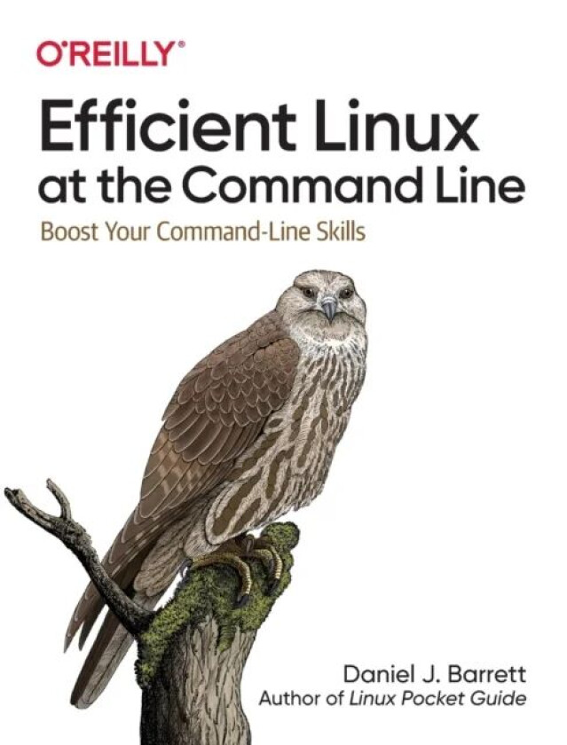 Efficient Linux at the Command Line av Daniel J Barrett