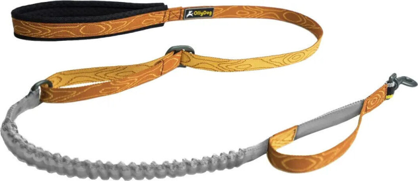 Flagstaff Adjustable Spring Leash OneSize, Blaze Bark