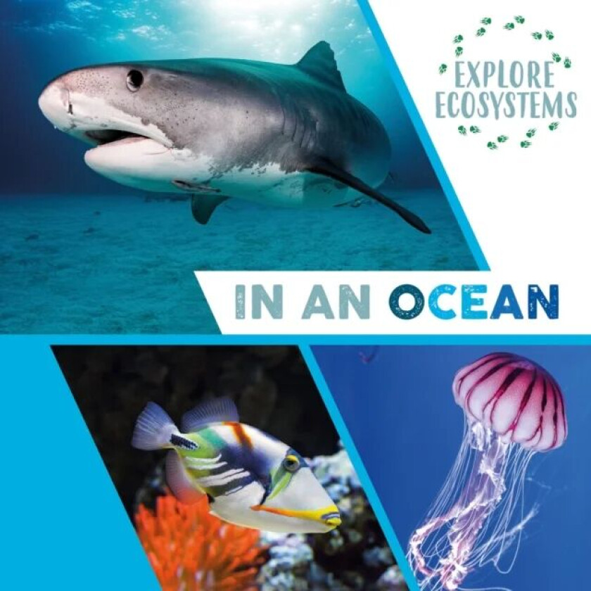 Explore Ecosystems: In an Ocean av Sarah Ridley
