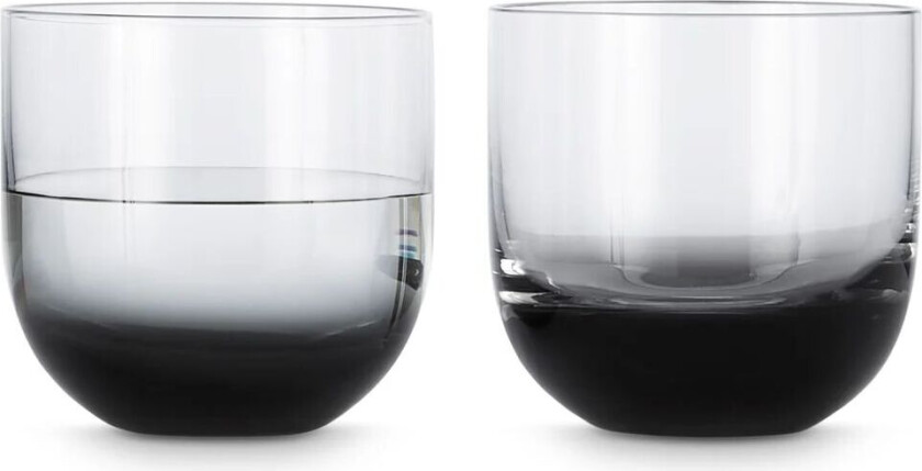 Tank whiskeyglass 2-stk. Svart