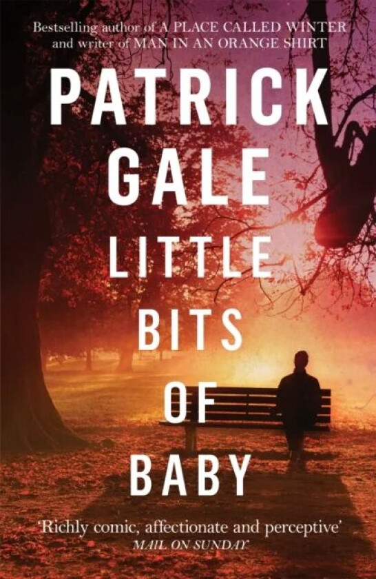 Little Bits of Baby av Patrick Gale