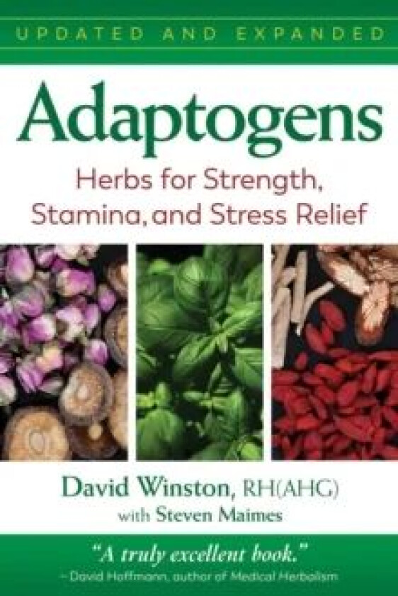 Adaptogens av David Winston