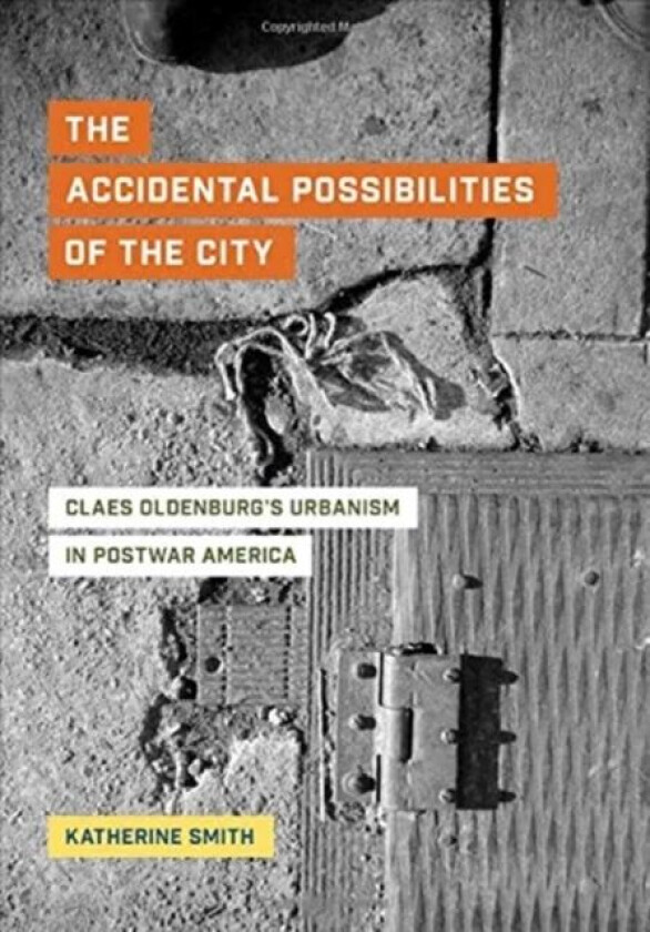 The Accidental Possibilities of the City av Katherine Smith