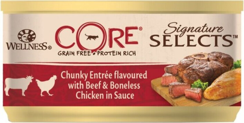 CORE Cat SS Beef & Chicken Chunky