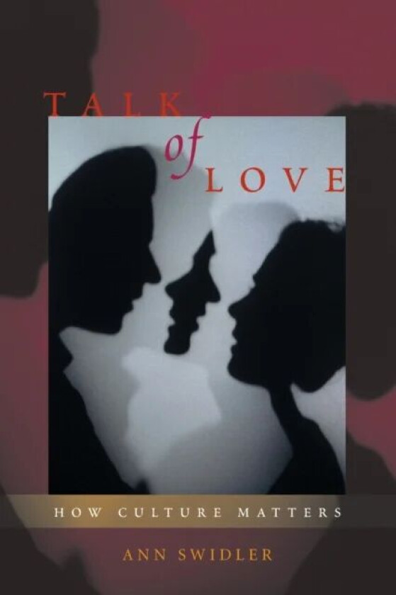 Talk of Love av Ann Swidler
