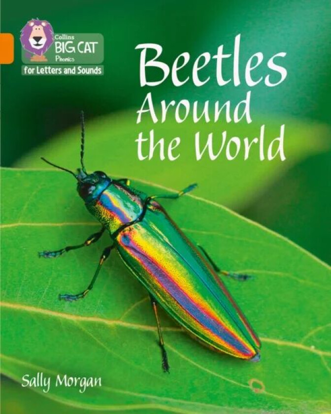 Beetles Around the World av Sally Morgan