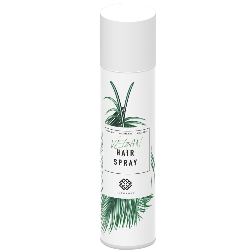 Hairspray 300 ml