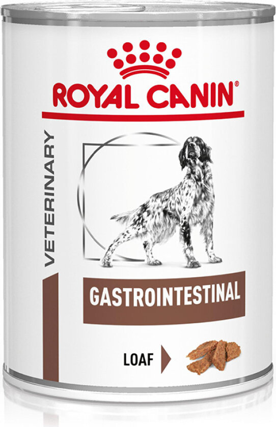 Royal Canin Veterinary Canine Gastrointestinal mousse - 12 x 400 g
