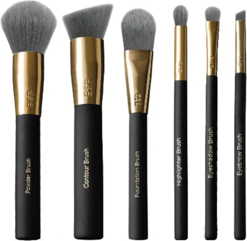 Pro Brush Essentials Kit