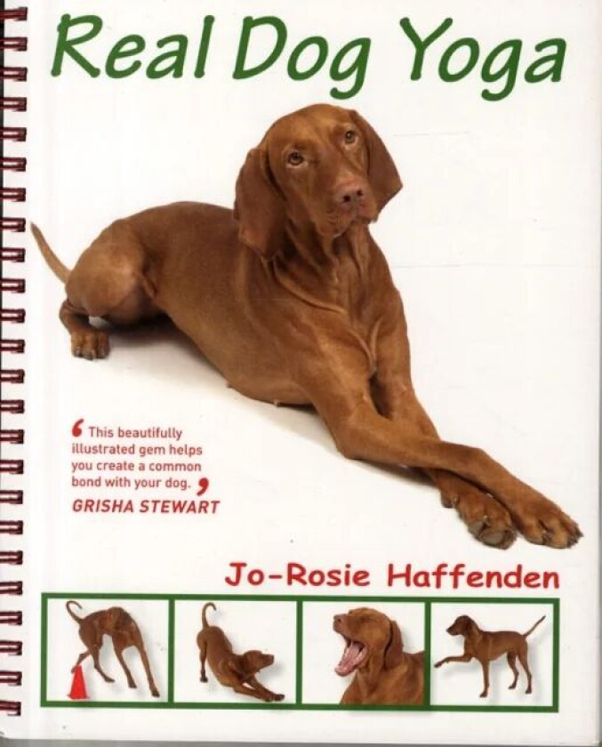 Real Dog Yoga av Jo-Rosie Haffenden