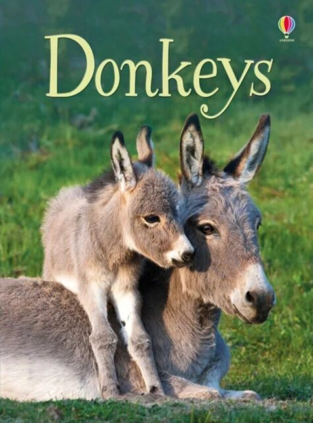 Donkeys av James Maclaine